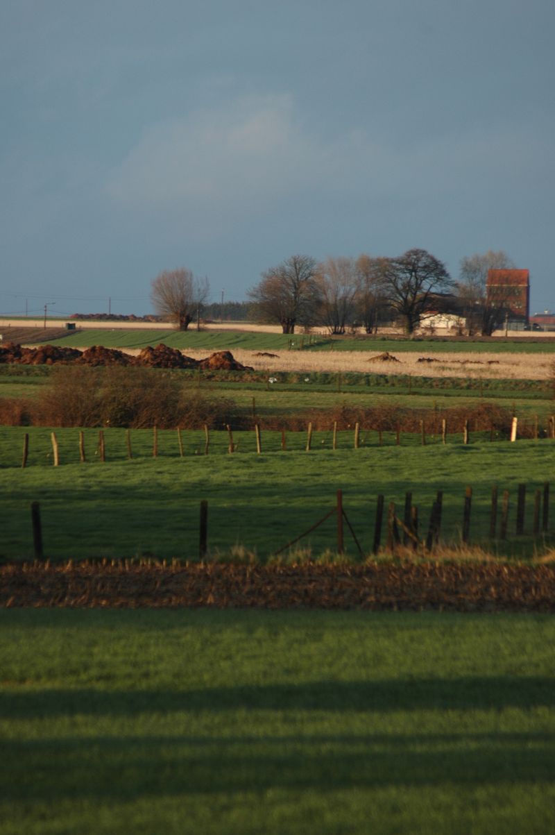 Img2010-04-02-0005 Img2010-04-02-0005