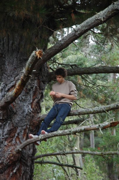 N513258917_383211_466